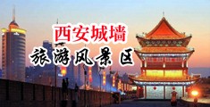 哦哦啊嗯嗯抽插中国陕西-西安城墙旅游风景区