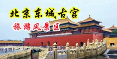 这逼好嫩想操视频中国北京-东城古宫旅游风景区